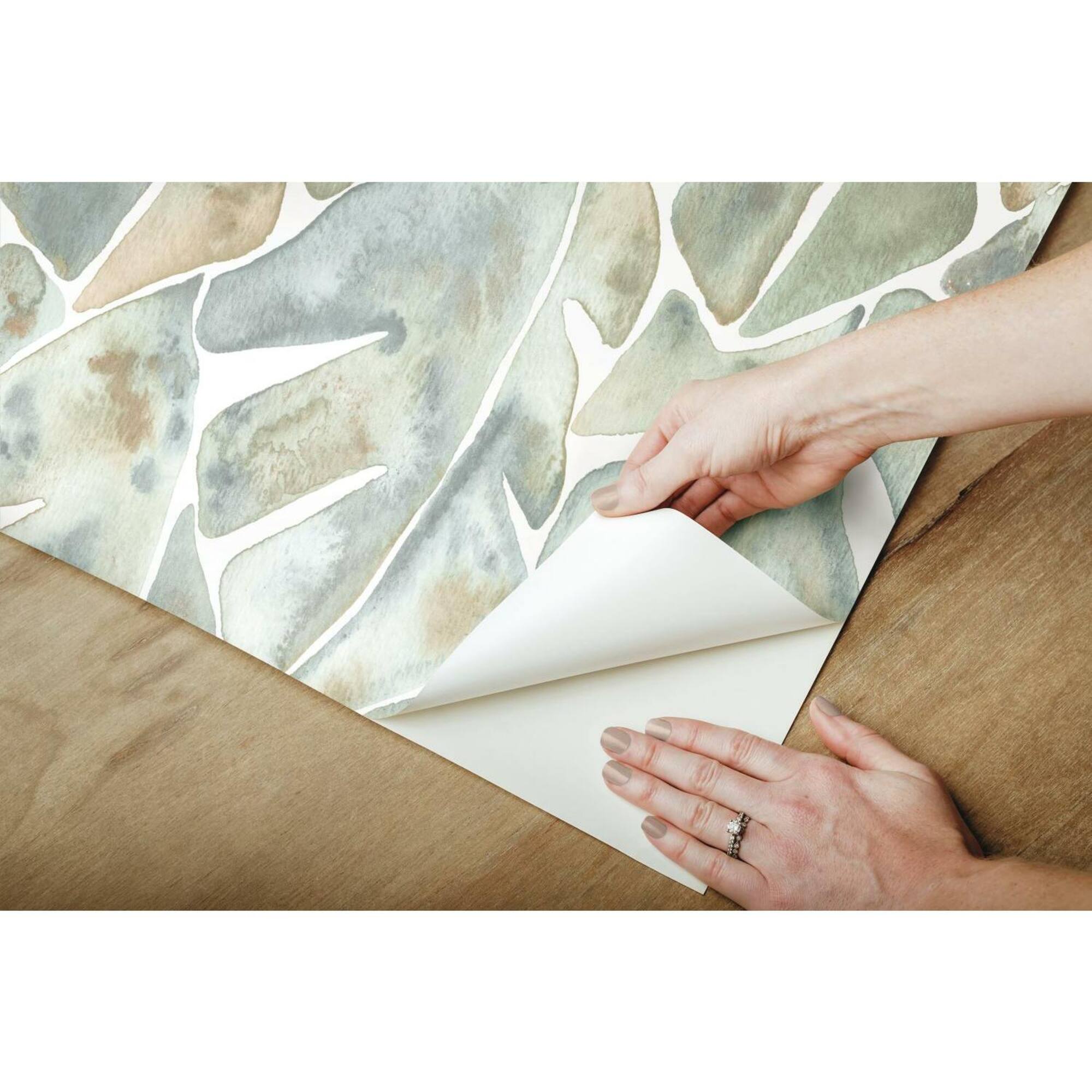 RoomMates Cat Coquillette Philodendron Peel & Stick Wallpaper